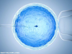 严重少弱精案例